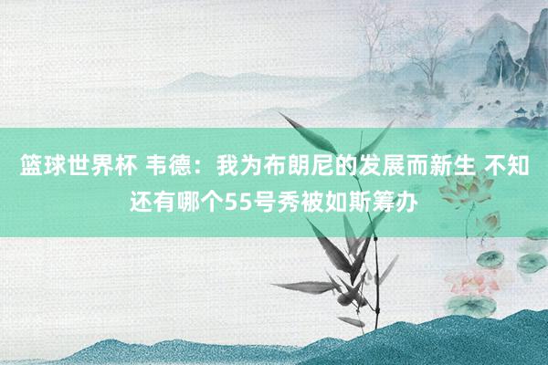 篮球世界杯 韦德：我为布朗尼的发展而新生 不知还有哪个55号秀被如斯筹办